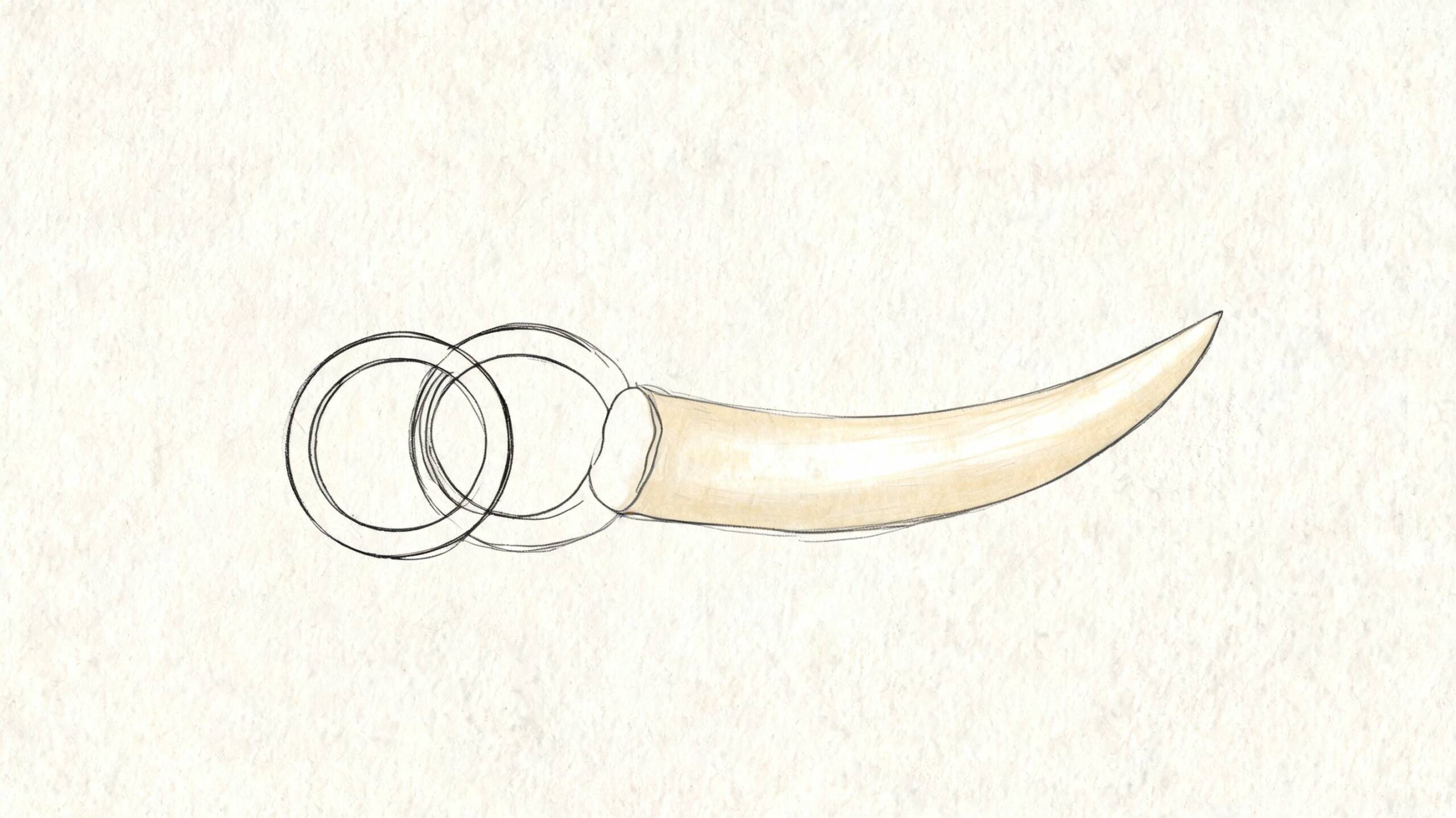 En enkel illustration av en elfenbensfärgad tand som hänger i två sammanlänkade metallringar på papper.
